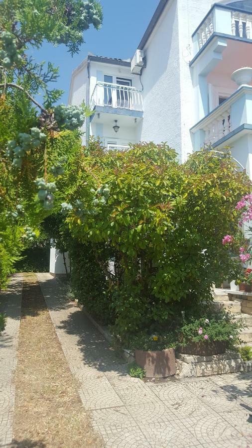 Oleander In Apartment Pakostane